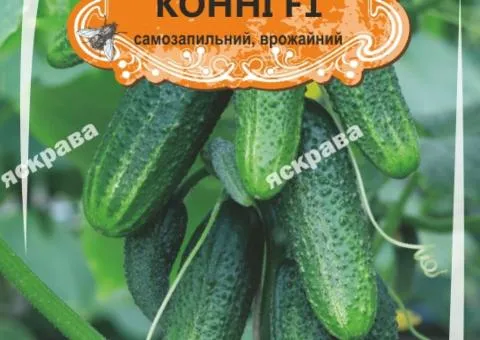 Огірок д/ж Конні (БАНКА) 10-15нас (50шт), Насіння, 50 шт.