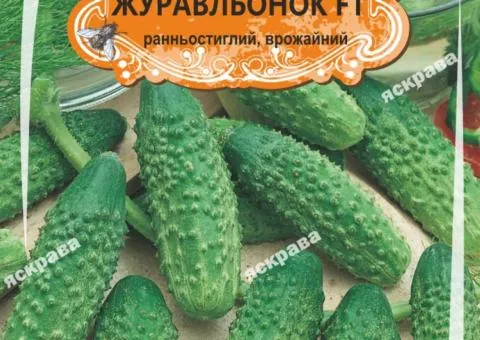 Огірок д/ж Журавльонок F1(БАНКА) 50нас (50шт), Насіння, 50 шт.