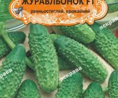 Огірок д/ж Журавльонок F1(БАНКА) 50нас (50шт), Насіння, 50 шт.