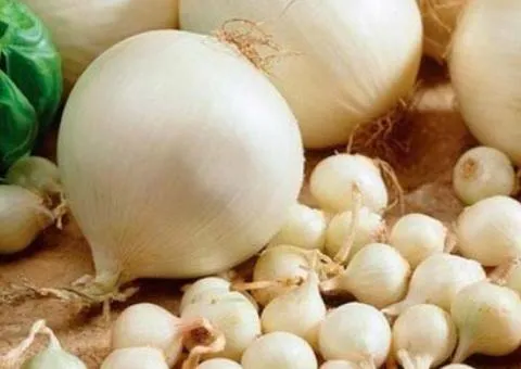 Onion sets Snowball 8/16 10 kg, Seeds, 10 pcs
