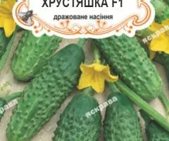 Огірок д/ж Хрустяшка F1 (БАНКА) 20-30нас, Насіння, 25 шт.