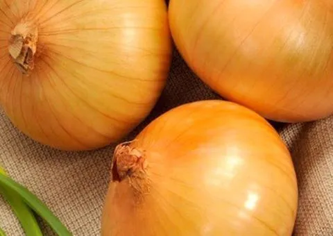 Onion sets Senshui 8/16 10 kg, Seeds, 10 pcs