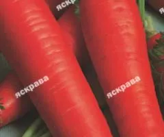 Морковь Артек 15 г, Семена овощей, 10 шт.