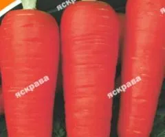 Морковь Зимняя Самая Вкусная 15 г, Семена овощей, 10 шт.