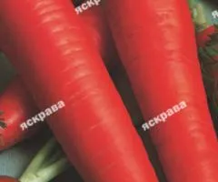 Морковь Нантская 15 г, Семена овощей, 10 шт.