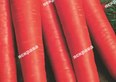 Carrot Flakke 15 g, Vegetable seeds, 10 pcs.