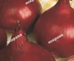 Лук Веселка 5 г, Семена овощей, 10 шт.