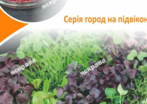 Насіння мікрозелені буряка 10 г, Насіння, 10 шт.
