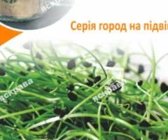 Насіння мікрозелені цибулі Шніт 8 г, Насіння, 10 шт.