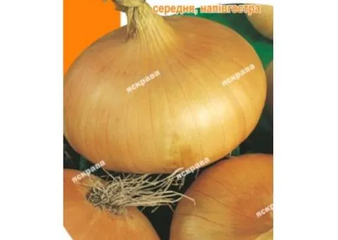Onion Karatalska 1 g PROMOTION, Vegetable seeds, 20 pcs.
