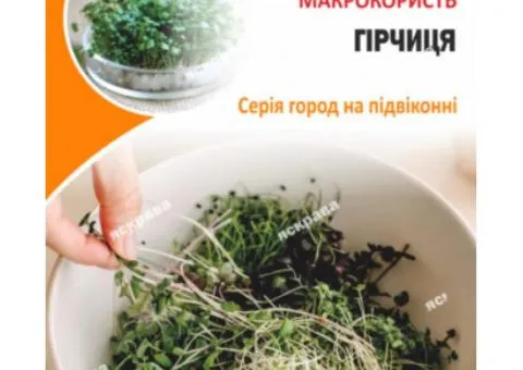 Насіння мікрозелені Гірчиці 30 г, Насіння, 10 шт.