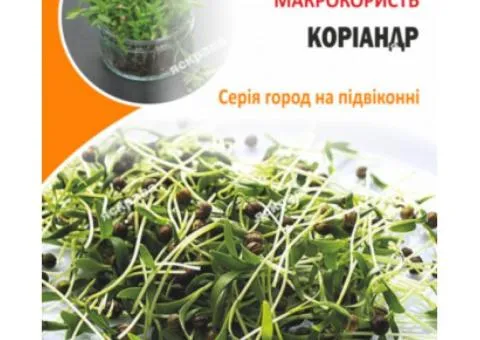 Насіння мікрозелені Коріандра 30 г, Насіння, 10 шт.