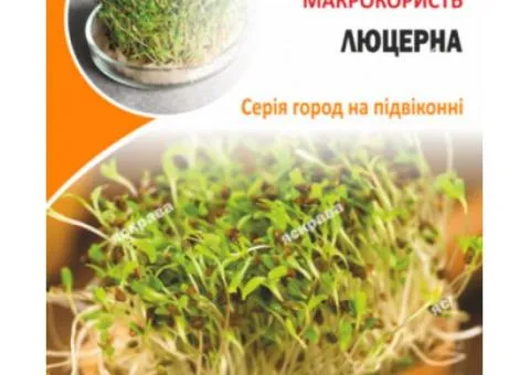 Насіння мікрозелені Люцерни 30 г, Насіння, 10 шт.