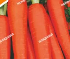 Морковь Карамелька 15 г, Семена овощей, 10 шт.