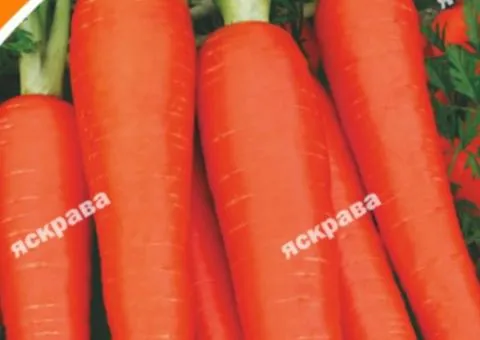 Морковь Карамелька 2 г, Семена овощей, 20 шт.