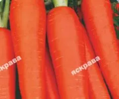 Морковь Карамелька 2 г, Семена овощей, 20 шт.