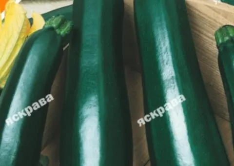Кабачок Чёрный принц 3 г, Семена овощей, 20 шт.