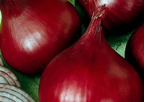 Onion sets Red Baron 8/16 10 kg, Seeds, 10 pcs
