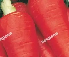 Морковь Каротель 2 г, Семена овощей, 20 шт.