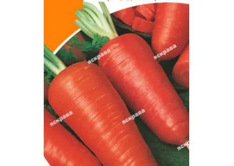 Carrot Shantane 2 g, Vegetable Seeds, 20 pcs
