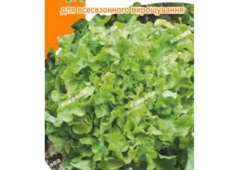 Салат беби Кудряшка зелёная 1 г, Семена овощей, 20 шт.