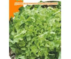 Салат беби Кудряшка зелёная 1 г, Семена овощей, 20 шт.