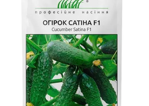 Огірок самозапильний Сатіна F1 10 шт, Насіння, 10 шт.