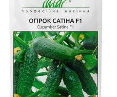 Огірок самозапильний Сатіна F1 10 шт, Насіння, 10 шт.