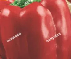 Перец Калифорнийское Чудо 3 г, Семена овощей, 10 шт.
