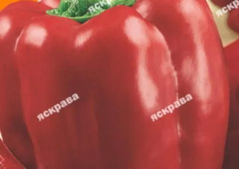 Перець Каліфорнійське Диво 2 г, Насіння овочів, 10 шт.