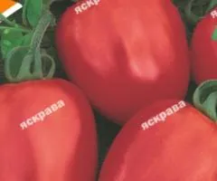 Томат Де-Барао Красный 2 г, Семена овощей, 10 шт.
