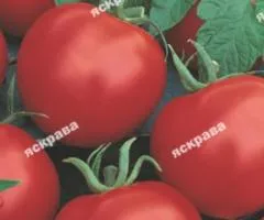 Томат Ляна 2 г, Семена овощных, 10 шт.