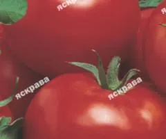 Томат Найранний пакет гигант 2 г, Семена овощей, 10 шт.