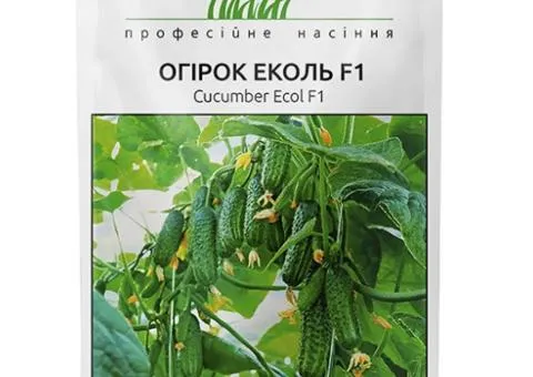 Огірок самозапильний Еколь F1 50 шт, Насіння, 10 шт.