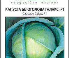 Капуста білокачанна Галаксі F1 20 шт, Насіння, 10 шт.