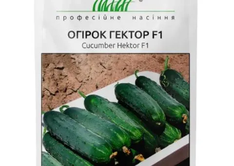Огірок Гектор F1 20 шт, Насіння, 10 шт.