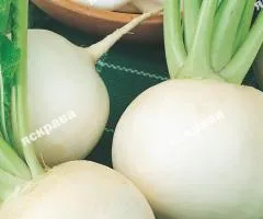 Редька Сударушка (белая) 10 г, Семена овощей, 10 шт.