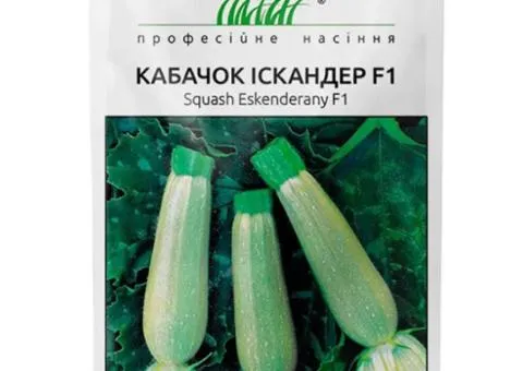 Кабачок Іскандер F1 5 шт, Насіння, 10 шт.