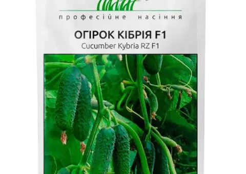 Огірок самозапильний Кібрія F1 10 шт, Насіння, 10 шт.