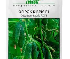 Огірок самозапильний Кібрія F1 10 шт, Насіння, 10 шт.