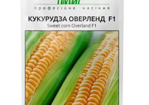 Sweet corn Overland F1 20 pcs, Seeds, 10 pcs
