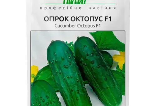 Cucumber Octopus F1 20 pcs, Seeds, 10 pcs