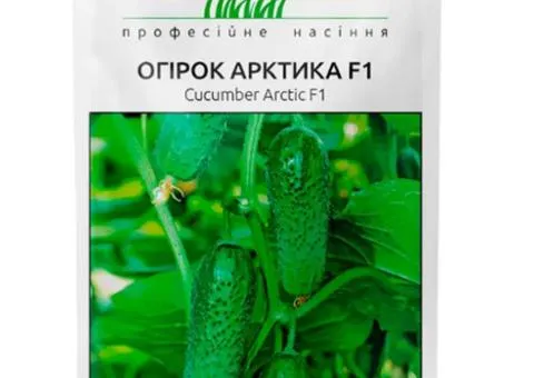 Cucumber self-pollinating Arktika F1 50 pcs, Seeds, 10 pcs