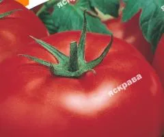 Томат Микадо красный 2 г, Семена овощей, 10 шт.
