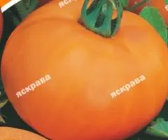 Томат Апельсин 2 г, Семена овощей, 10 шт.
