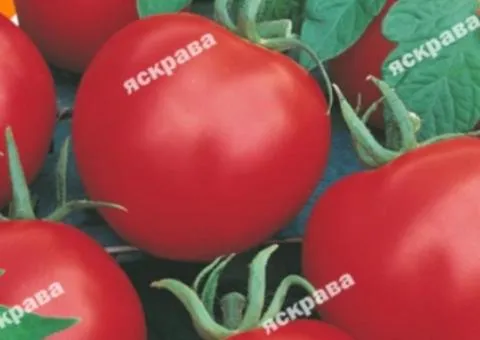 Tomato Lyana 0.1 g, Vegetable Seeds, 20 pcs.