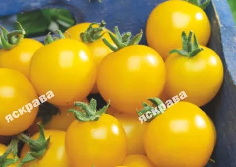 Tomato Yellow Cherry 0.1 g, Vegetable Seeds, 20 pcs