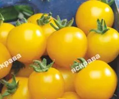Томат Жёлтая вишня 0.1 г, Семена овощей, 20 шт.