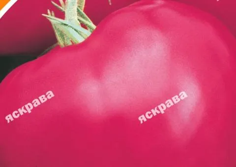 Томат Воловье серце рожевое 0.1 г, Семена овощей, 20 шт.