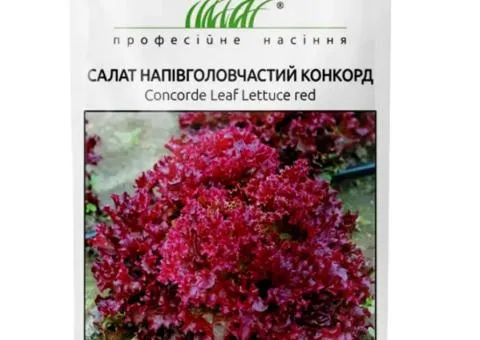 Салат Конкорд червоний 30 шт, Насіння, 10 шт.